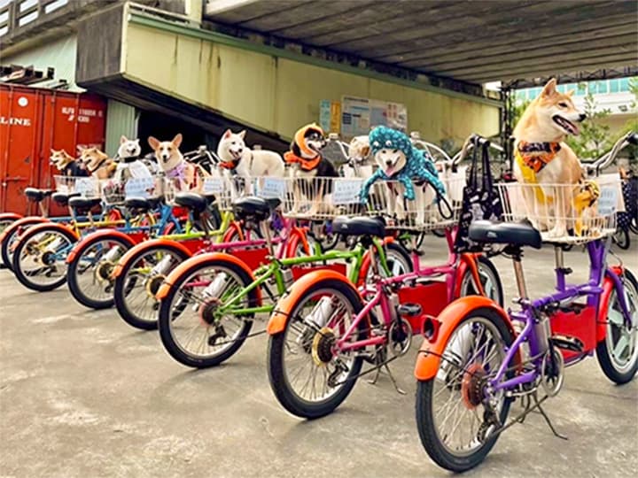 都會租車(豐原店)