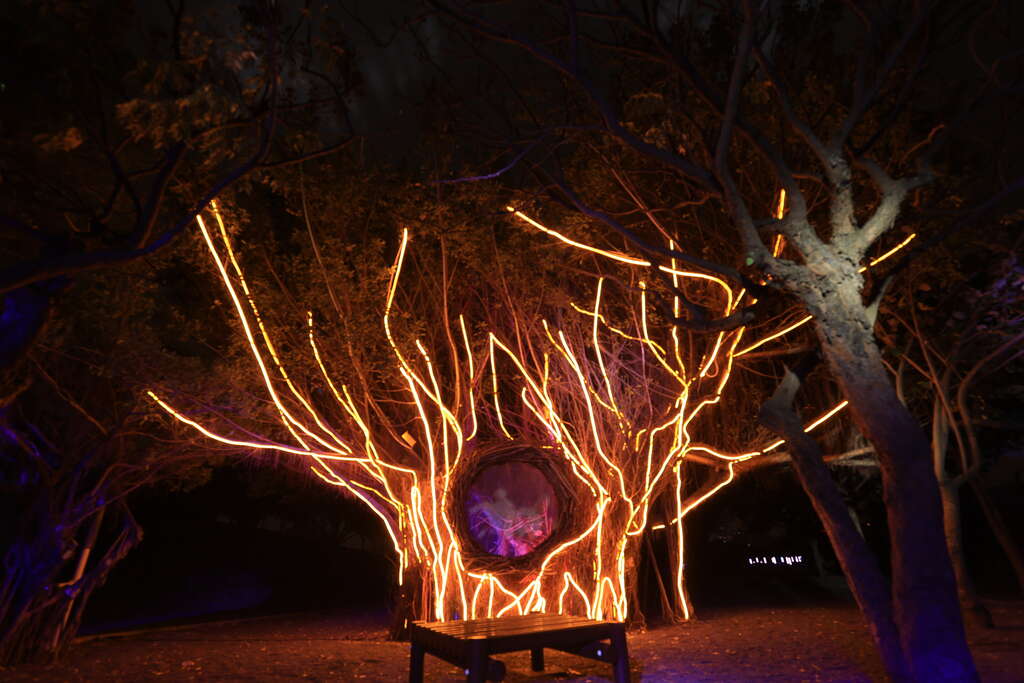The “Dream Tree” Lantern Area