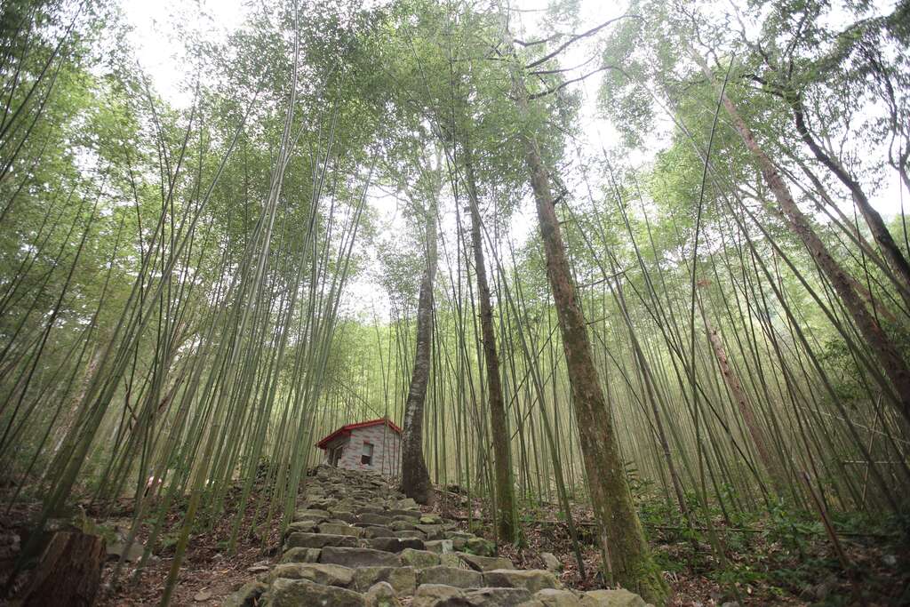 八仙山国家森林遊区