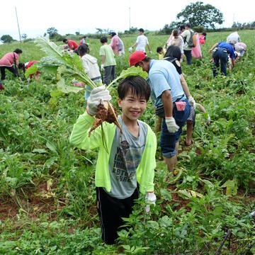 體驗田園之樂 清水海風社區拔蘿蔔活動開放報名