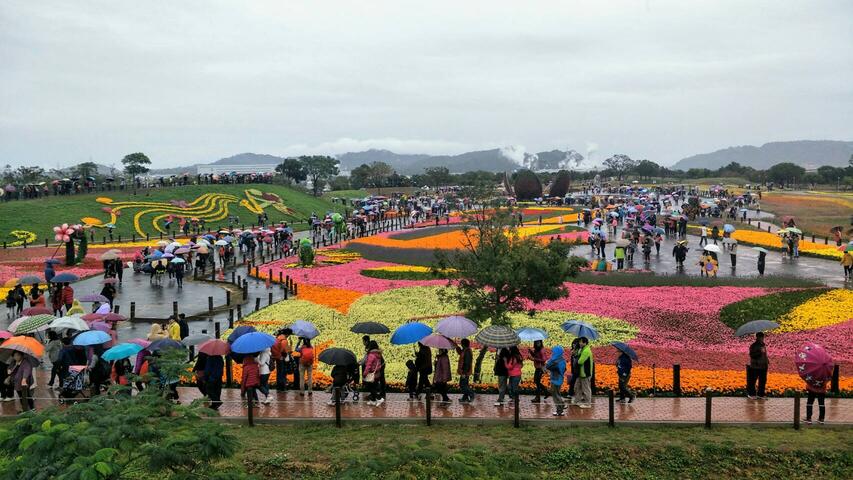 台中国际花毯节落幕 共吸引172万人次参观 突破去年纪录