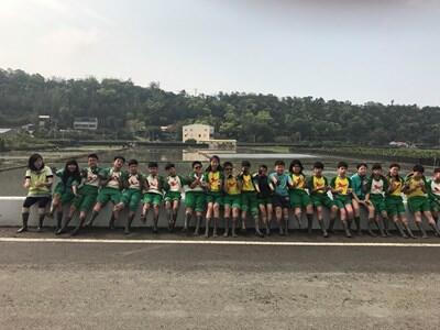 「种」出石虎迎花博 中市农业局邀民众彩绘稻田体验插秧