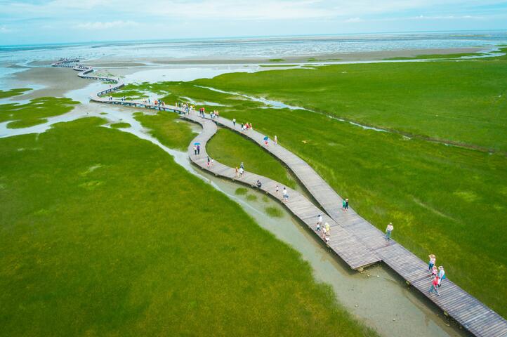 高美湿地免费导览 即日起开放报名