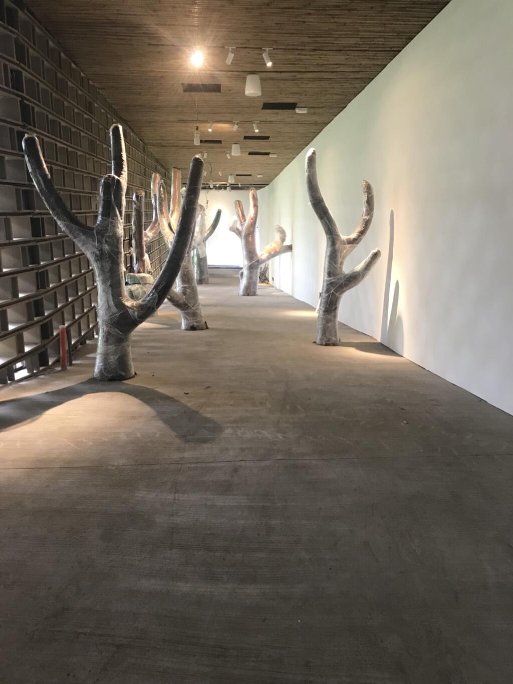 音乐人林强加入台中花博团队 自然曲风诠释后里园区生态精神