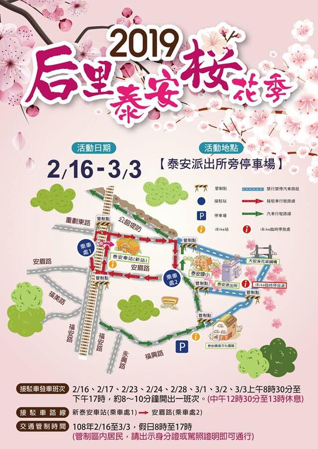2019 Houli Taian Cherry Blossom Season 