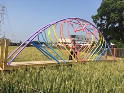 大雅小麦产业文化节登场 4.2公尺高「LOVE」麦墙超吸睛