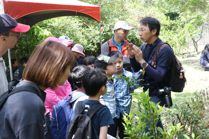 游秘境拥抱生态之旅 大坑赏萤与蝶共舞