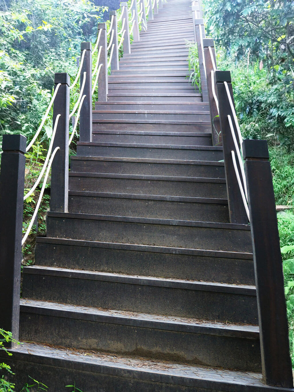 拆除後重新建置木棧道-示意圖