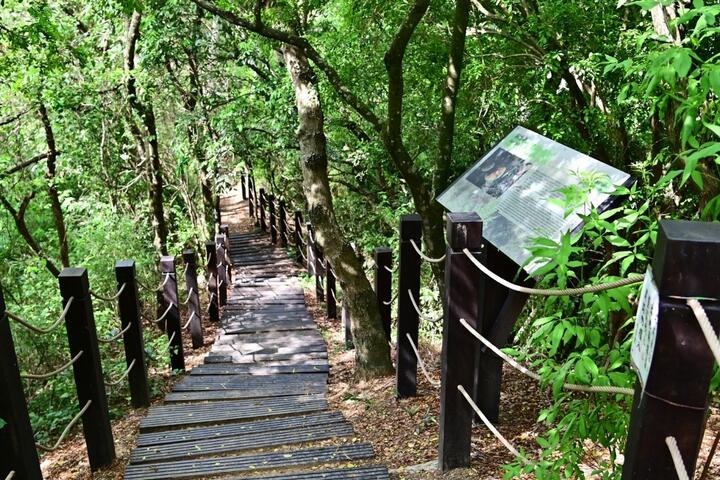 防疫踏青首选中台科大观音山步道