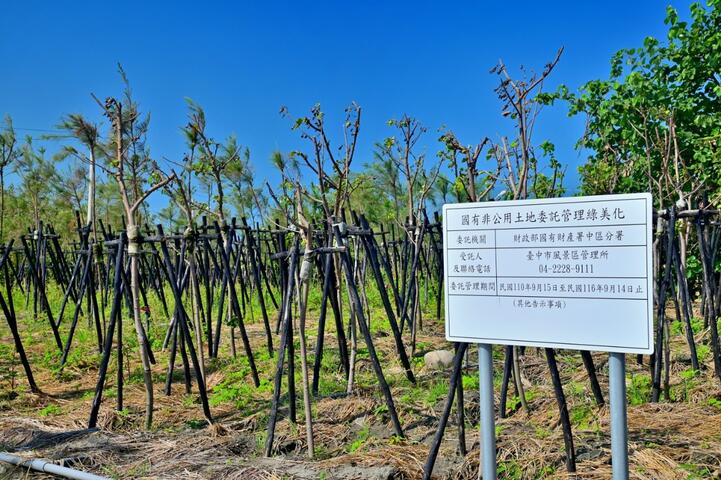 中市观旅局广植滨海防风林-打造大安滨海观景绿森林