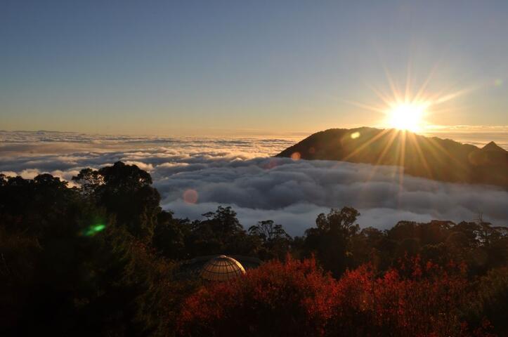 大雪山国家森林游乐区