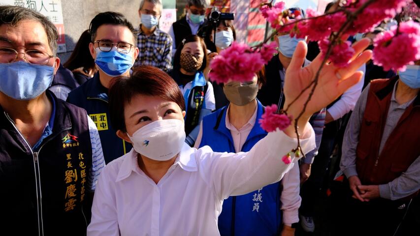 平昌樱花祭已迈入第12年