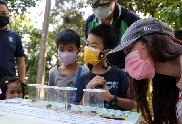 大坑赏萤活动终场报到率达9成