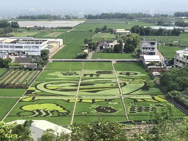 富市台中漫游水流东彩绘稻田