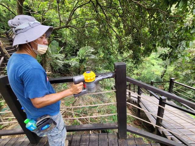 中市府加强防治大坑步道荔枝椿象