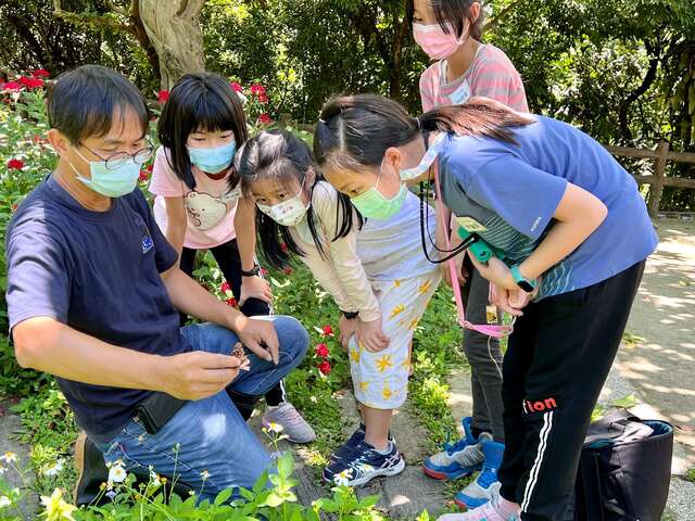 夏季赏蝶将登场敬请期待