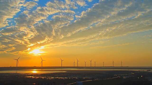 高美湿地4k美景线上看