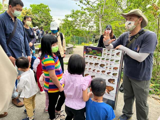 小朋友聆听解说员讲解蛙类生态