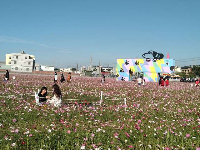 遊客帶著毛小孩穿梭花海留影