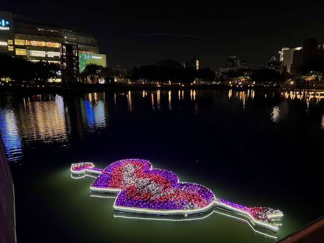 台中夜美麗-湧泉公園佈燈-雙心雙色四季海棠_0