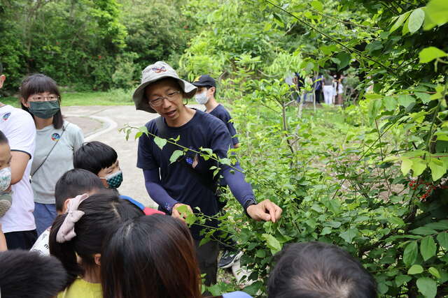 蜜源植物的解說