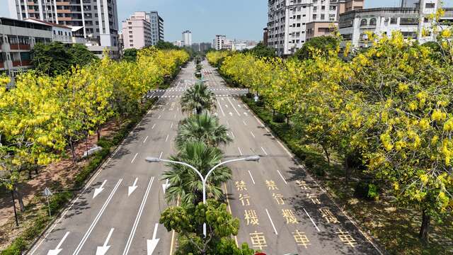 金黄色嘉年华-来了-台中市区阿勃勒盛开美炸-_0