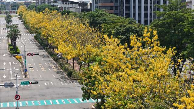 東區興大綠園道