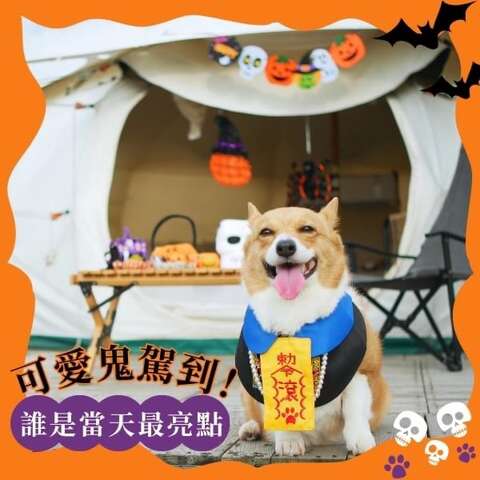 02高美濕地遊客服務中心與-蟬說-夕陽漫漫-攜手推出-百犬夜行-hallowoof-萬聖節露營派