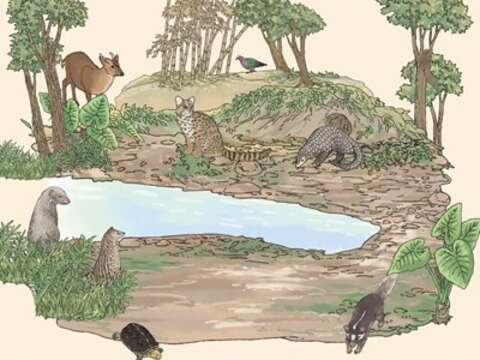 适得其所-以动保挺野保巡回展