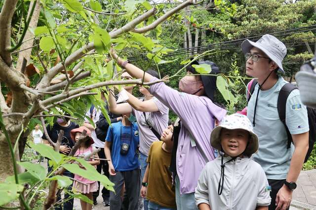 大坑生态园区生态探索
