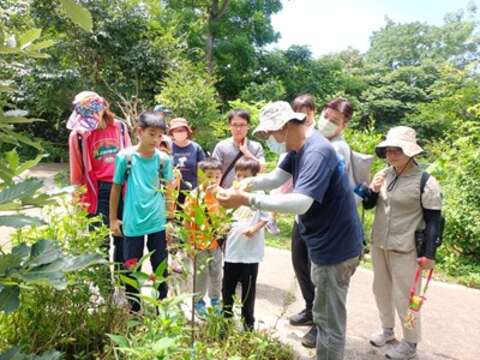 蝴蝶蜜源植物解說