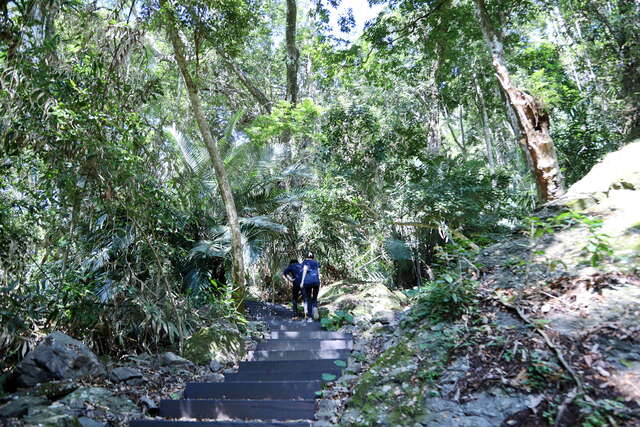雪山坑登山步道-原木階梯2_0