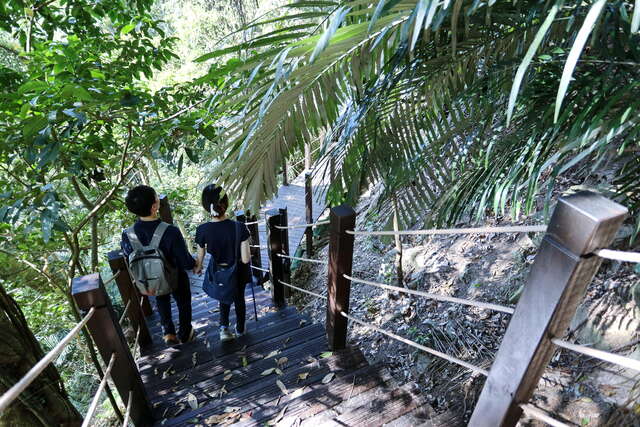雪山坑登山步道-木棧道_0