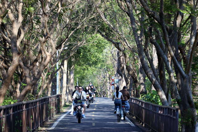 东丰自行车绿廊_0