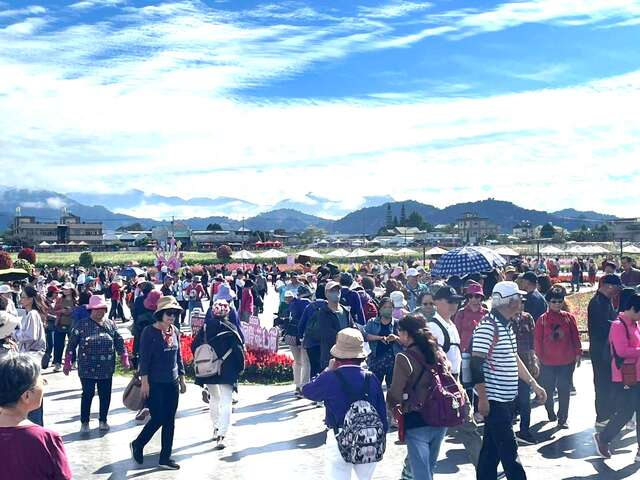 花毯节人潮不断_0