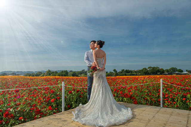 新社花海暨臺中國際花毯節絕美婚紗攝影_0
