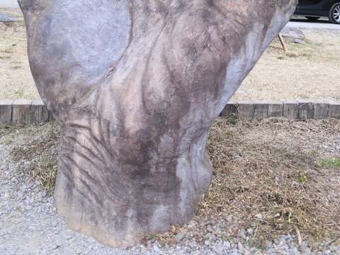 line_album_視察雪山坑步道環山線_251127_3