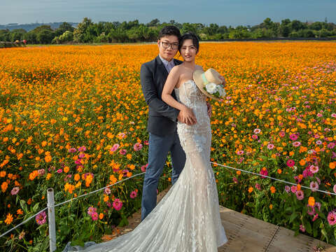 花毯节绝美婚纱摄影_0