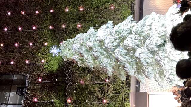 草悟道散发耶诞节气息-营造浪漫节庆氛围