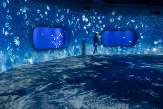 台中海洋馆的水母区营造如冰雪奇缘般的晶透氛围-让人彷佛踏入梦幻冰宫