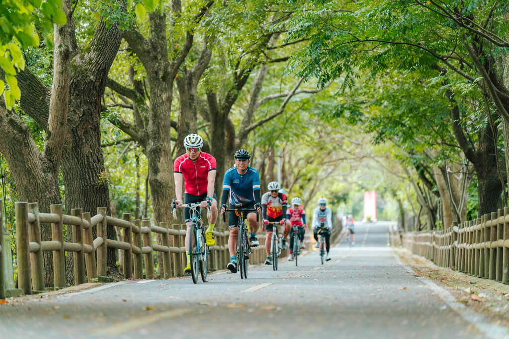 1东丰自行车绿廊