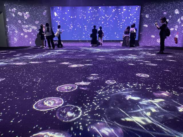 台中海洋馆-有全国最大规模的-水母主题展区