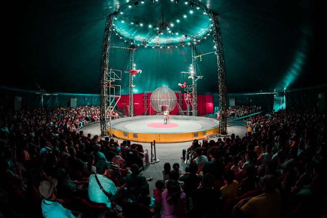 后里马场全新主题的马戏团表演-天马梦幻大马戏