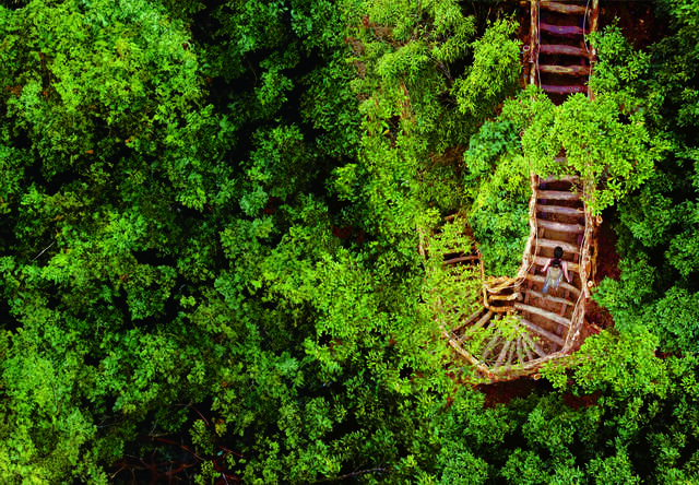 大坑登山步道-春节健行首选