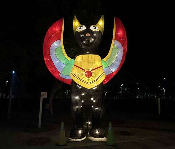 農業局動物夢世界的迎賓貓女神開啟夢境神祕通道