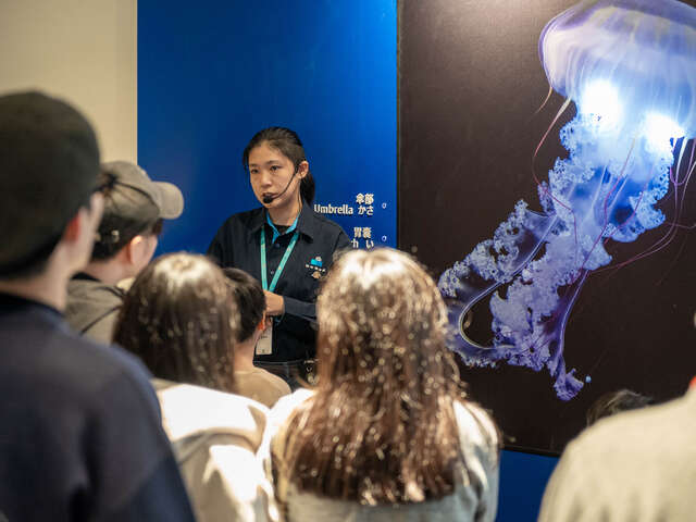 台中海洋館安排專業導覽人員進行解說導覽，透過互動式教學讓民眾了解水母構造與海洋生態知識。