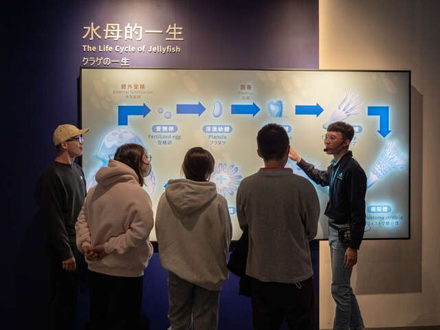 台中海洋館透過導覽解說帶領民眾認識水母的一生與海洋生態，結合科教與展示，讓參觀民眾更深入了解海洋生物知識。