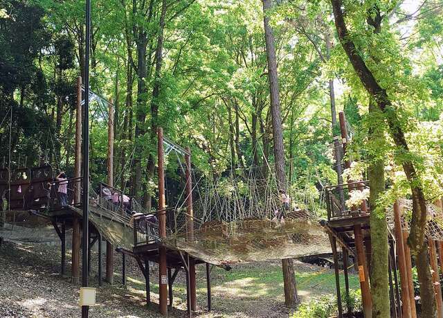 东势林场体训场让孩子尽情耗电挑战