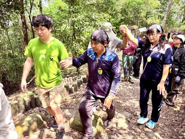 寻找森林小天使