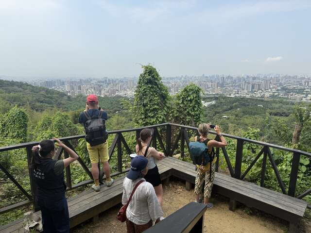 德國訪團登上大坑登山步道觀景台遠眺市景